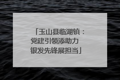 玉山县临湖镇：党建引领添助力 银发先锋展担当