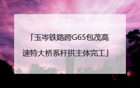 玉岑铁路跨G65包茂高速特大桥系杆拱主体完工
