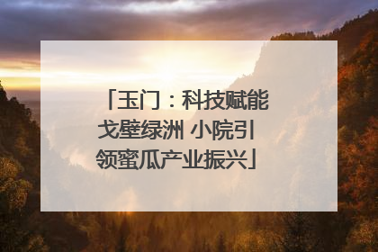 玉门：科技赋能戈壁绿洲 小院引领蜜瓜产业振兴