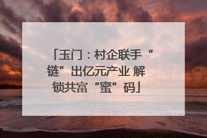 玉门：村企联手“链”出亿元产业 解锁共富“蜜”码