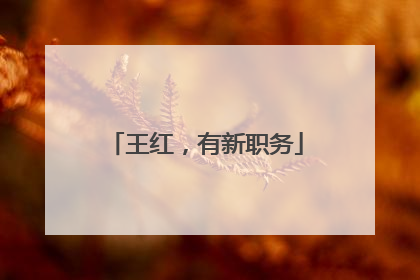 王红，有新职务