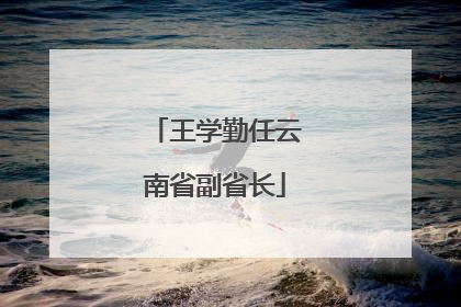 王学勤任云南省副省长