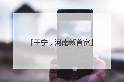 王宁，河南新首富