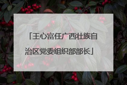 王心富任广西壮族自治区党委组织部部长