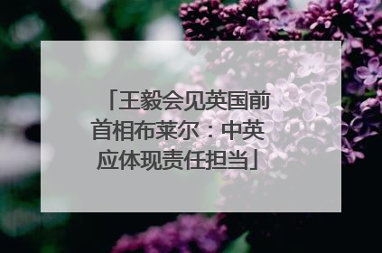 王毅会见英国前首相布莱尔：中英应体现责任担当