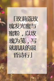 玫莉蔻玫瑰发光蜜与蜜粉，以玫瑰为笺，写就肌肤的晨昏诗行