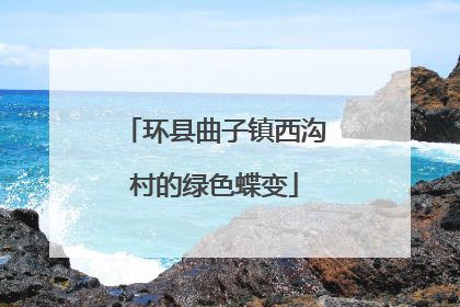 环县曲子镇西沟村的绿色蝶变