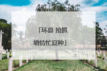 环县 抢抓墒情忙夏种