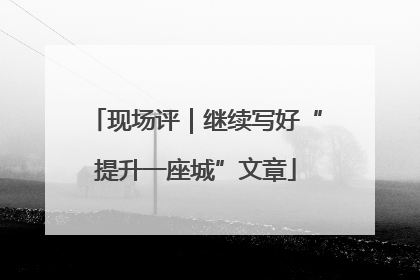 现场评｜继续写好“提升一座城”文章