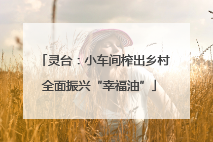 灵台：小车间榨出乡村全面振兴“幸福油”