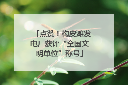 点赞！构皮滩发电厂获评“全国文明单位”称号