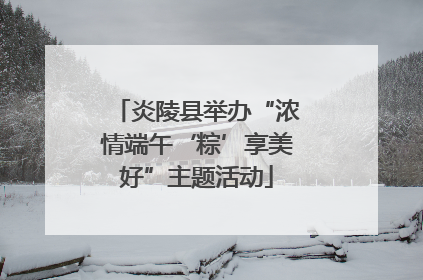 炎陵县举办“浓情端午‘粽’享美好”主题活动