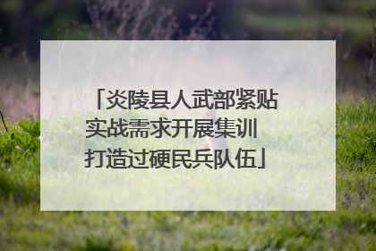炎陵县人武部紧贴实战需求开展集训 打造过硬民兵队伍