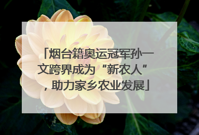 烟台籍奥运冠军孙一文跨界成为“新农人”，助力家乡农业发展
