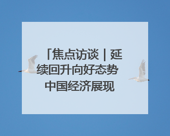 焦点访谈｜延续回升向好态势 中国经济展现韧性与活力
