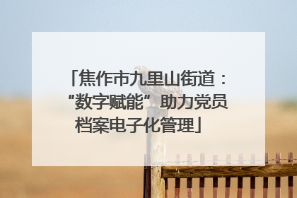 焦作市九里山街道：“数字赋能”助力党员档案电子化管理