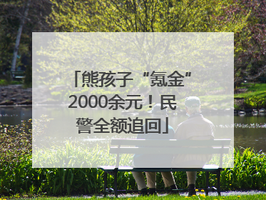 熊孩子“氪金”2000余元！民警全额追回