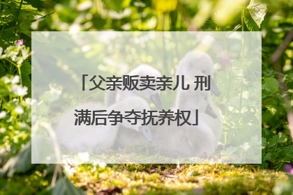父亲贩卖亲儿 刑满后争夺抚养权
