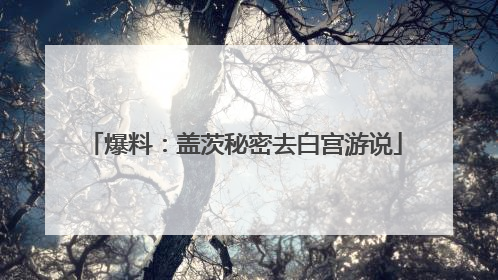 爆料：盖茨秘密去白宫游说