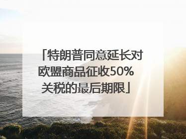 特朗普同意延长对欧盟商品征收50%关税的最后期限