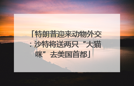 特朗普迎来动物外交：沙特将送两只“大猫咪”去美国首都