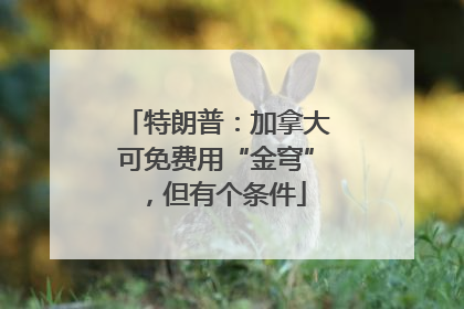 特朗普：加拿大可免费用“金穹”，但有个条件