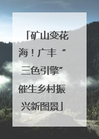 矿山变花海！广丰“三色引擎”催生乡村振兴新图景