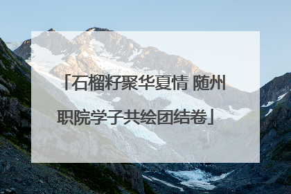 石榴籽聚华夏情 随州职院学子共绘团结卷