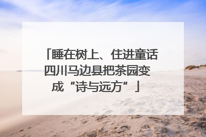 睡在树上、住进童话 四川马边县把茶园变成“诗与远方”