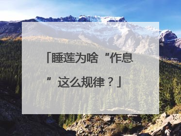 睡莲为啥“作息”这么规律？