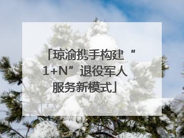 琼渝携手构建“1+N”退役军人服务新模式