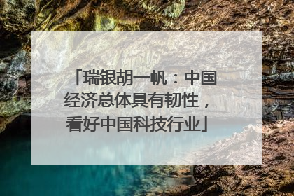瑞银胡一帆：中国经济总体具有韧性，看好中国科技行业