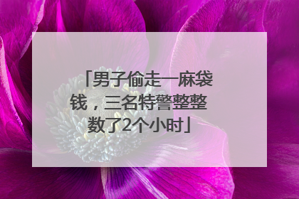 男子偷走一麻袋钱，三名特警整整数了2个小时
