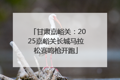 甘肃嘉峪关：2025嘉峪关长城马拉松赛鸣枪开跑