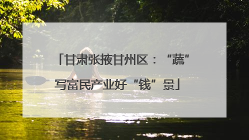 甘肃张掖甘州区：“蔬”写富民产业好“钱”景