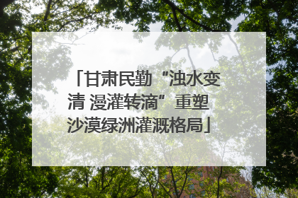 甘肃民勤“浊水变清 漫灌转滴”重塑沙漠绿洲灌溉格局