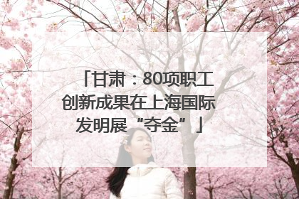 甘肃：80项职工创新成果在上海国际发明展“夺金”