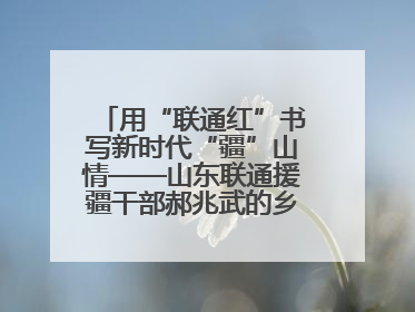 用“联通红”书写新时代“疆”山情——山东联通援疆干部郝兆武的乡村振兴答卷