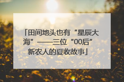 田间地头也有“星辰大海”——三位“00后”新农人的夏收故事