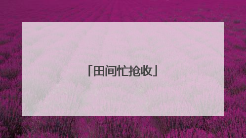 田间忙抢收