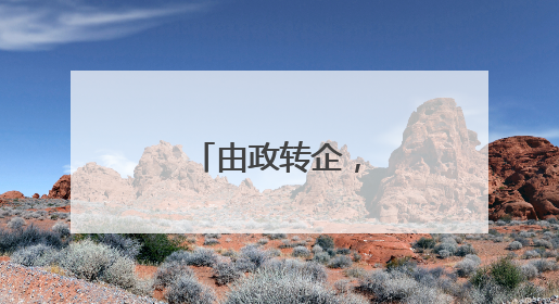 由政转企，叶建强履新