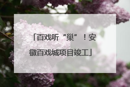 百戏听“巢”！安徽百戏城项目竣工