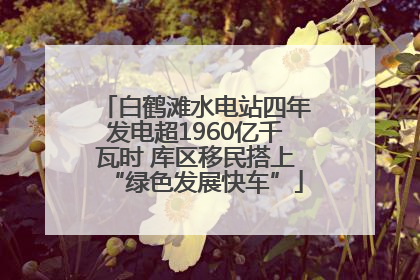 白鹤滩水电站四年发电超1960亿千瓦时 库区移民搭上“绿色发展快车”
