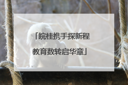 皖桂携手探新程 教育数转启华章