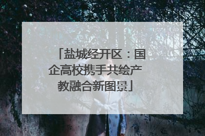 盐城经开区：国企高校携手共绘产教融合新图景