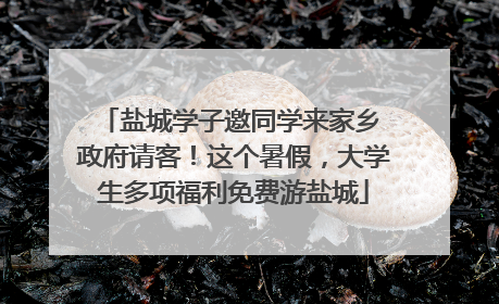 盐城学子邀同学来家乡 政府请客！这个暑假，大学生多项福利免费游盐城