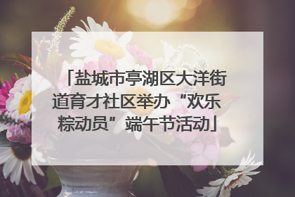 盐城市亭湖区大洋街道育才社区举办“欢乐粽动员”端午节活动