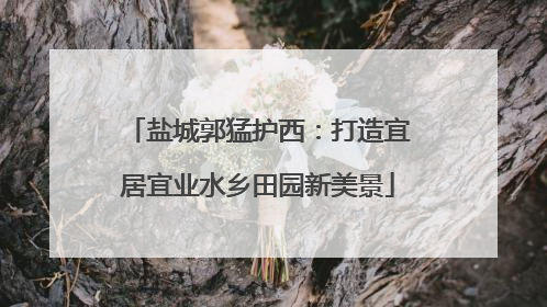 盐城郭猛护西：打造宜居宜业水乡田园新美景