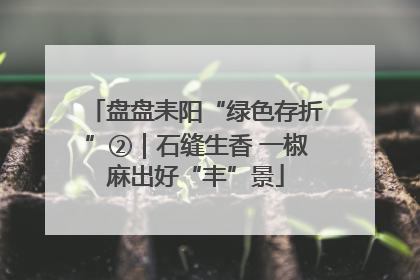 盘盘耒阳“绿色存折”②｜石缝生香 一椒麻出好“丰”景