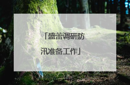 盛蕾调研防汛准备工作